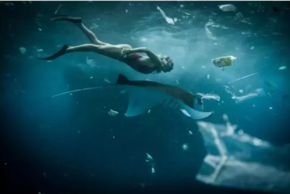 1557021864490889.png image.png