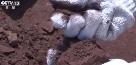 1609317429788089.png 2.png