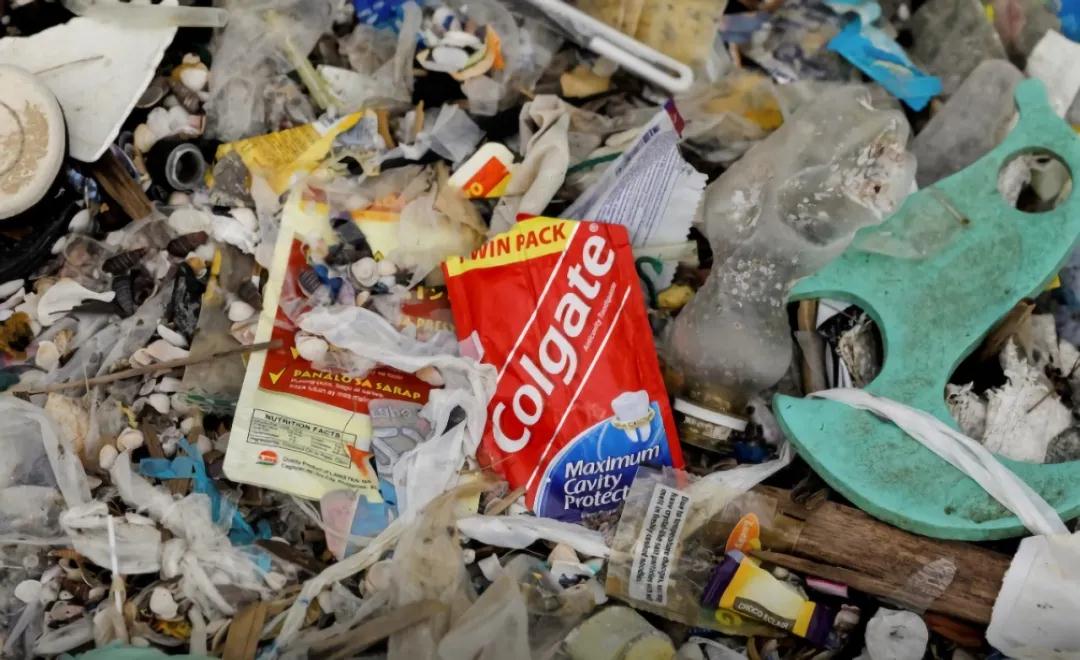 1611808325419546.jpg p25_b.jpg